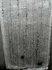 1035 Altın Sim Makarna Tül Perde