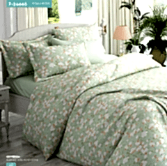 Wella Papatya %100 Pamuk Nevresim Takımı