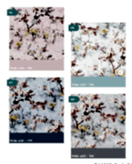 Wella Bahar %100 Pamuk Nevresim Takımı