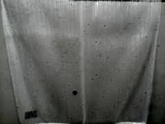 7145 Altın Pullu Tül Perde